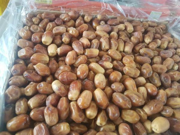 راهنمای خرید خرما بریم اعلا