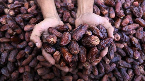 فروش فوق العاده خرما دیری آبادان