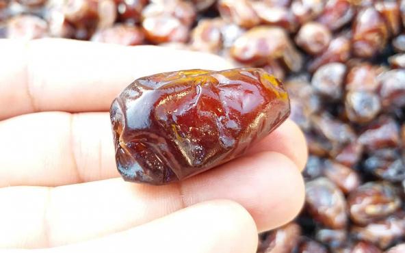 فروشگاه خرما کبکاب خوزستان