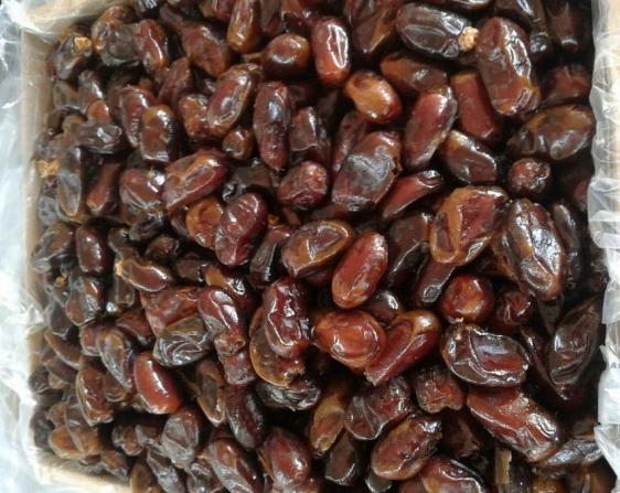 روش تولید بهینه خرما استعمران درجه یک