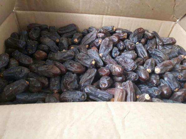 بررسی ویژگی های خرما پیارم خوزستان