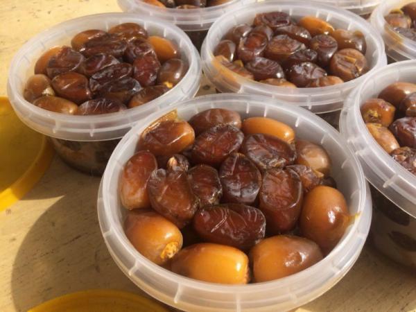 سفارش عمده خرما کبکاب خوزستان