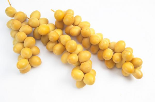 قیمت فروش رطب برهی خوزستان