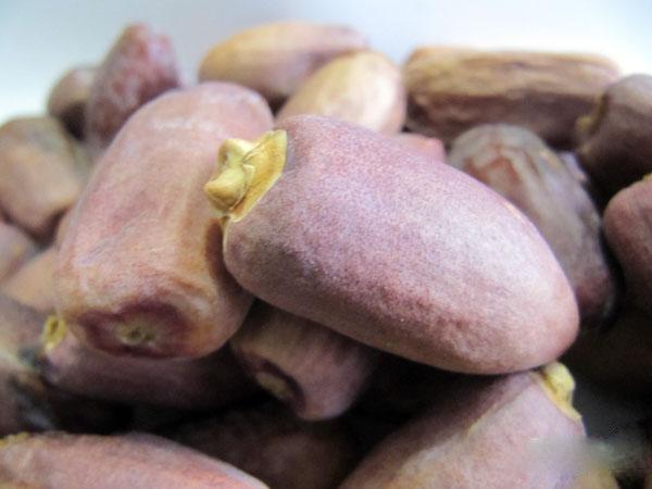 سفارش عمده خرما دیری آبادان