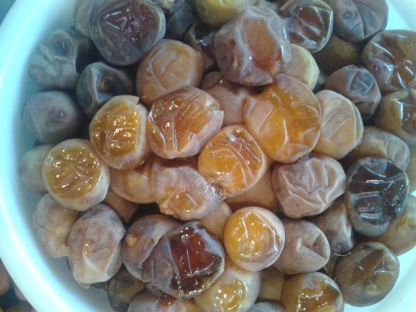 قیمت خرید خرما برحی تازه