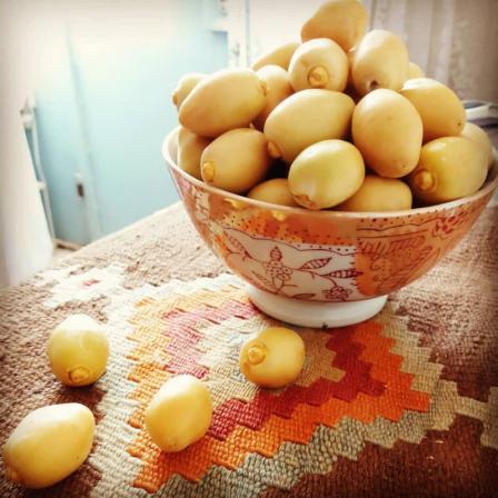 پخش عمده رطب برهی آبادان درجه یک