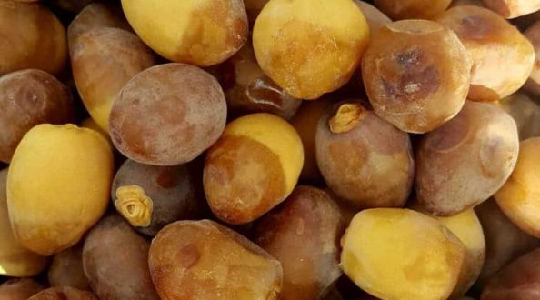 عرضه مستقیم رطب برهی آبادان درجه یک