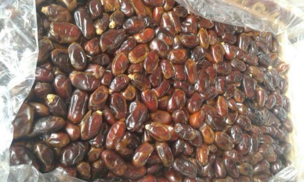 بازار فروش خرما سایر بدون هسته