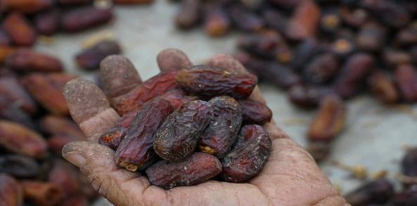 مزایای استفاده از خرما گنطار آبادان