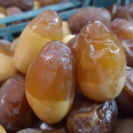 خواص درمانی رطب برحی