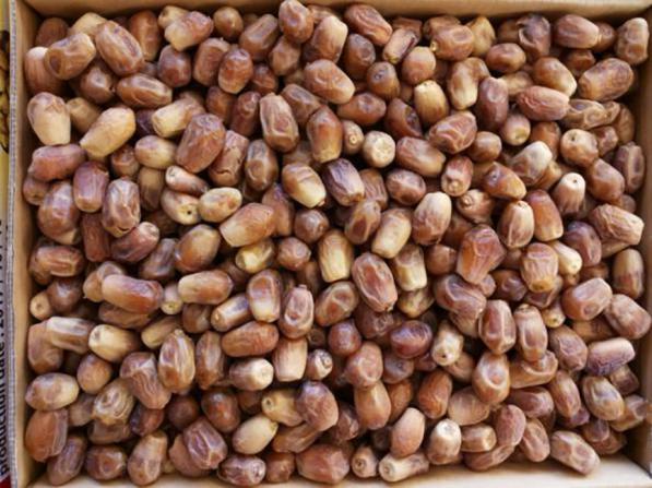 خواص ظاهری خرما فراورده