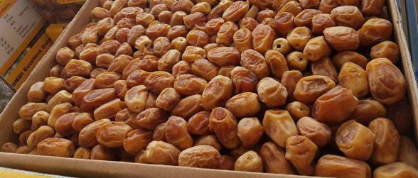 تولید کننده خرما زاهدی خشک