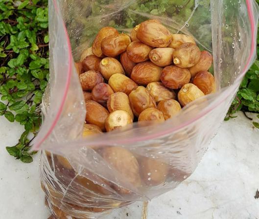 انواع ویتامین‌ موجود در خرما نیمرس