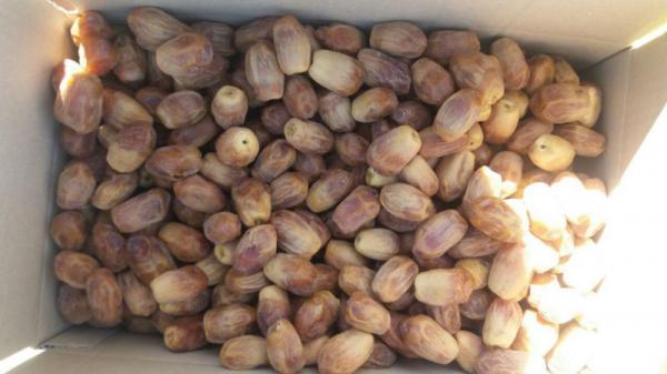 قیمت خرید خرما فراورده