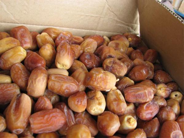 خواص دارویی و درمانی خرما زاهدی