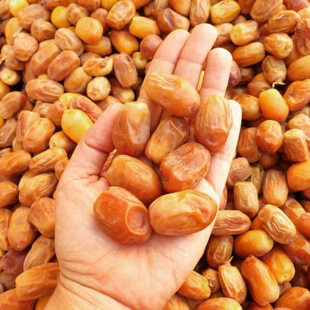 بازرگانی فروش خرما نیمرس مضافتی