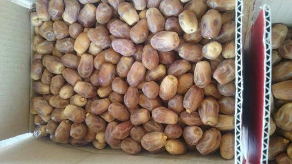 بازار صادرات خرما مجلسی