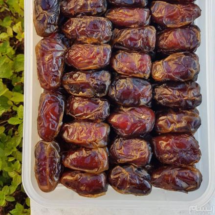 عرضه مستقیم خرما پرسی