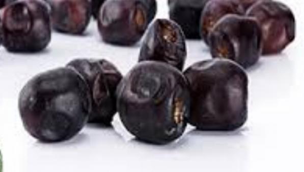 بهبود عملکرد مغز با مصرف رطب مضافتی