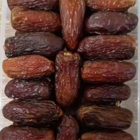 تولید عمده خرما مجول