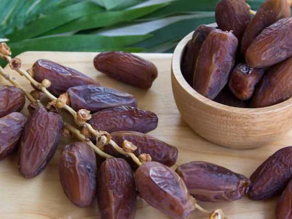 خرید انواع خرمای تازه