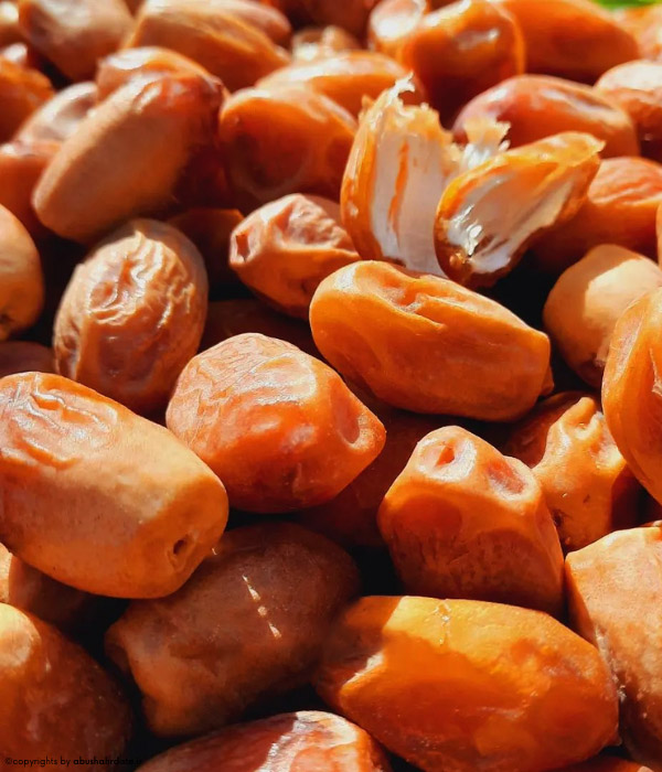 خرید خرمای زاهدی درجه یک