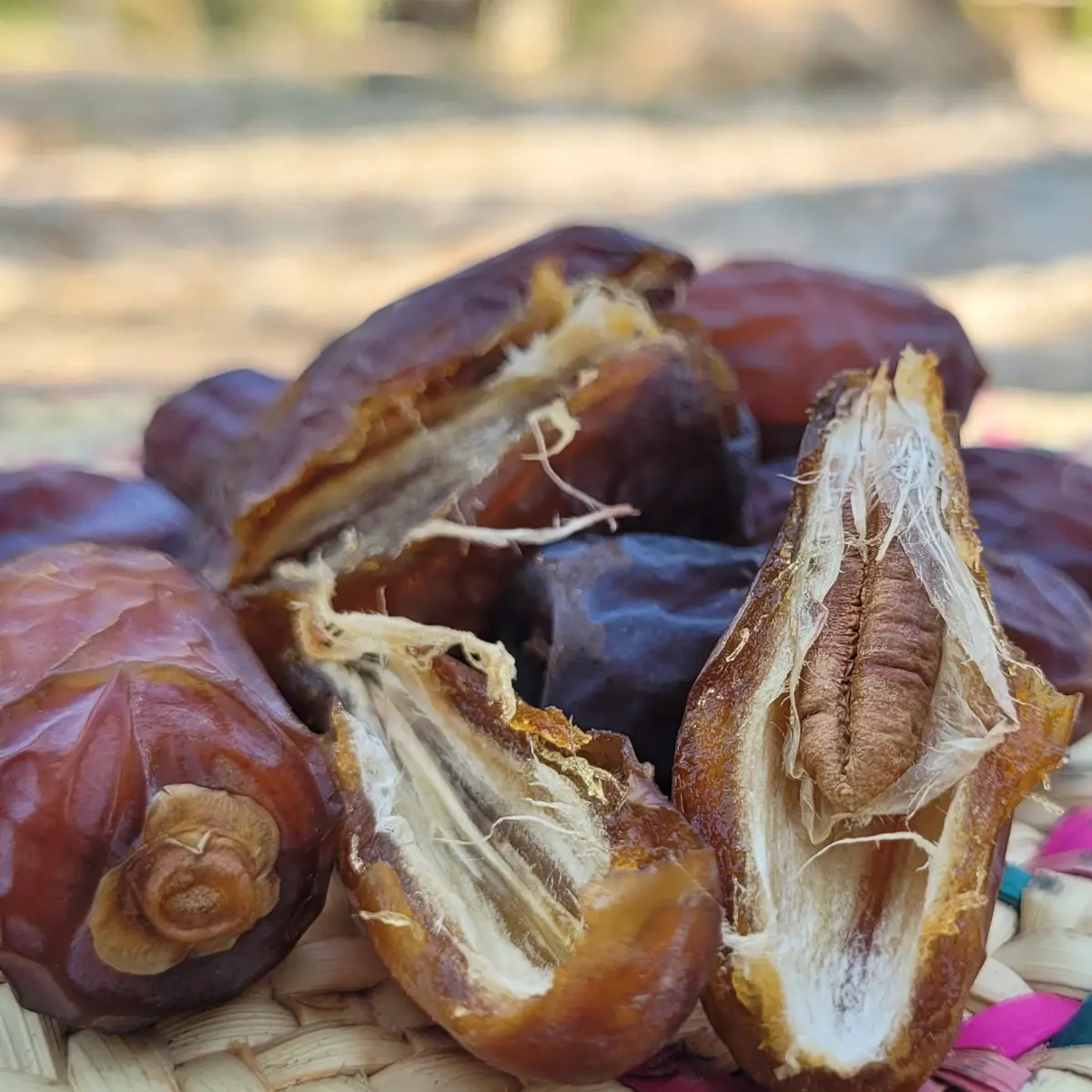 خرید و قیمت خرمای پیارم صادراتی